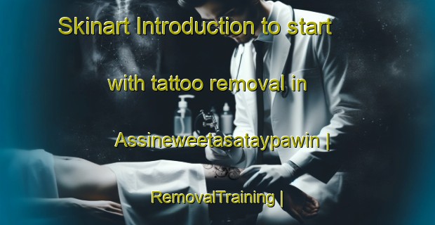 Skinart Introduction to start with tattoo removal in Assineweetasataypawin | RemovalTraining | RemovalClasses | SkinartTraining-Canada